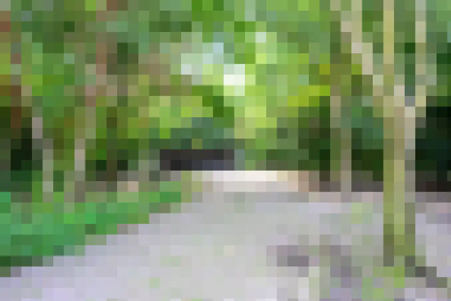 Kogendijk 98 Alkmaar thumbnail 36