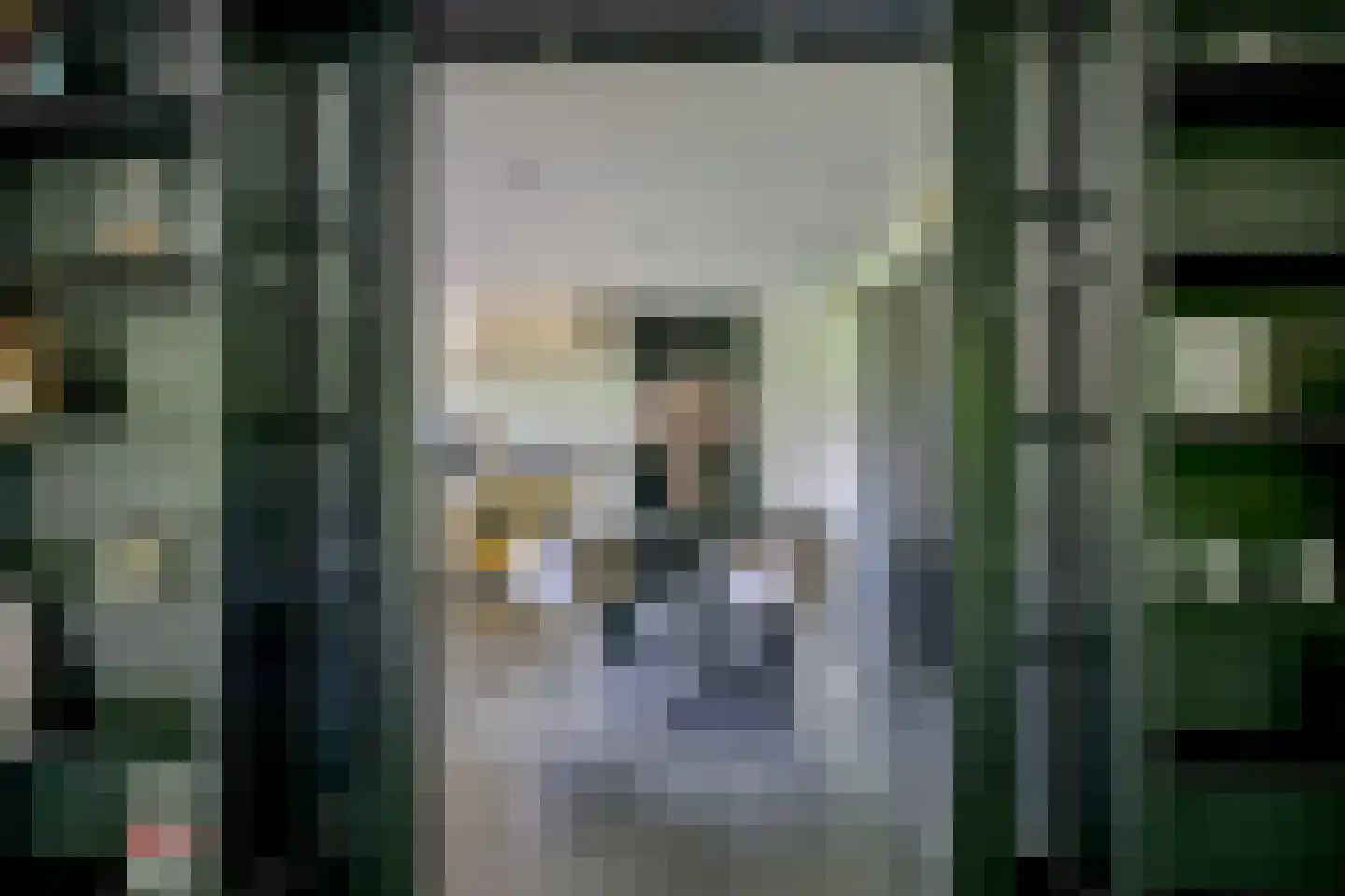 Kogendijk 98 Alkmaar thumbnail 9