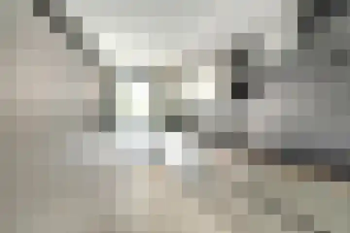 Kogge 12 Brielle thumbnail 15