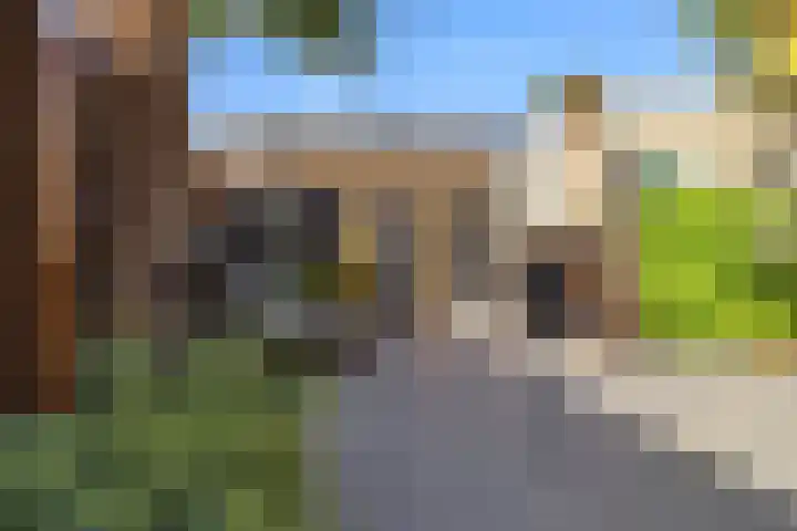 Kogge 12 Brielle thumbnail 36