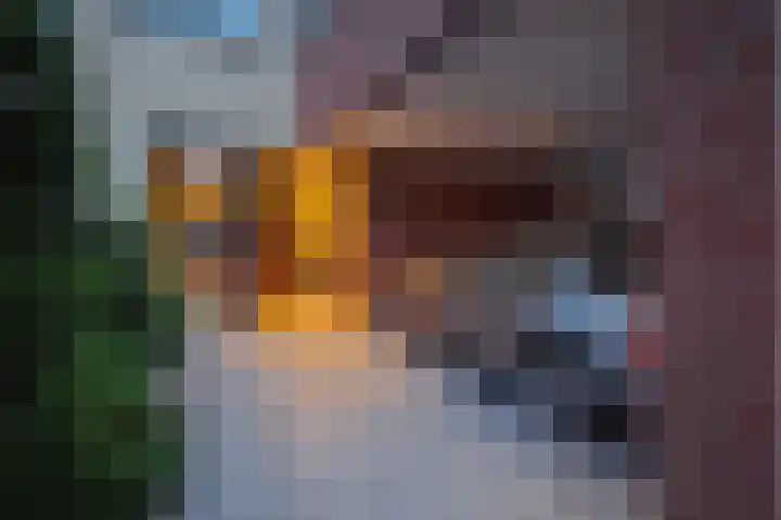 Kogge 12 Brielle thumbnail 48