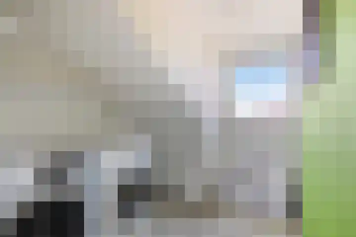 Kogge 2 Brielle thumbnail 30