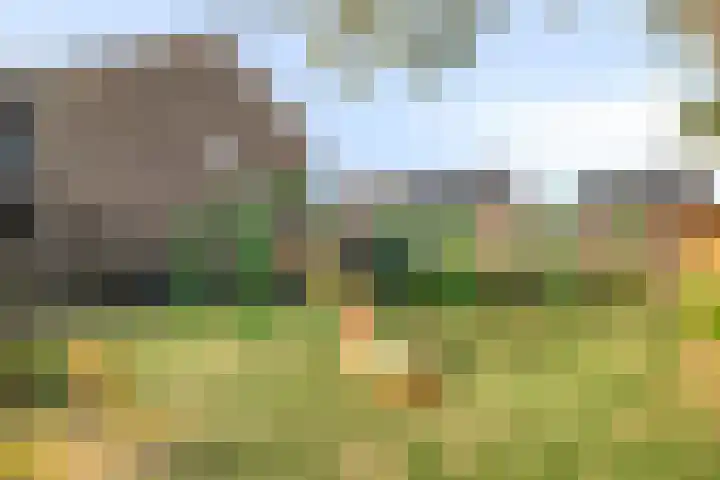 Kogge 2 Brielle thumbnail 36