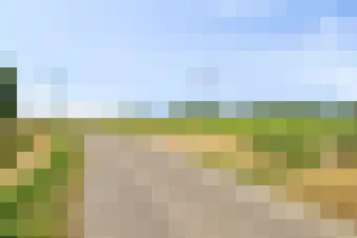 Kogge 2 Brielle thumbnail 37