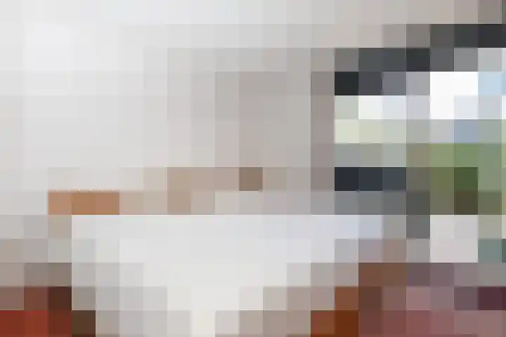 Kogge 52 Brielle thumbnail 24