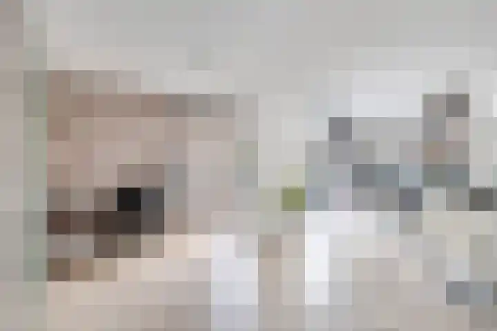 Kogge 68 Brielle thumbnail 11