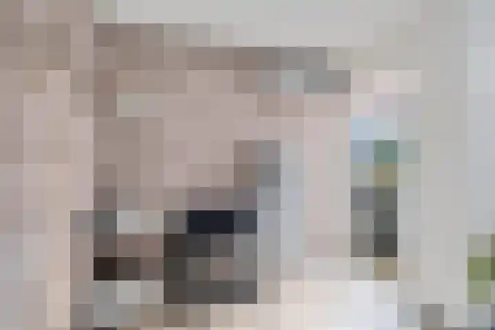 Kogge 68 Brielle thumbnail 15
