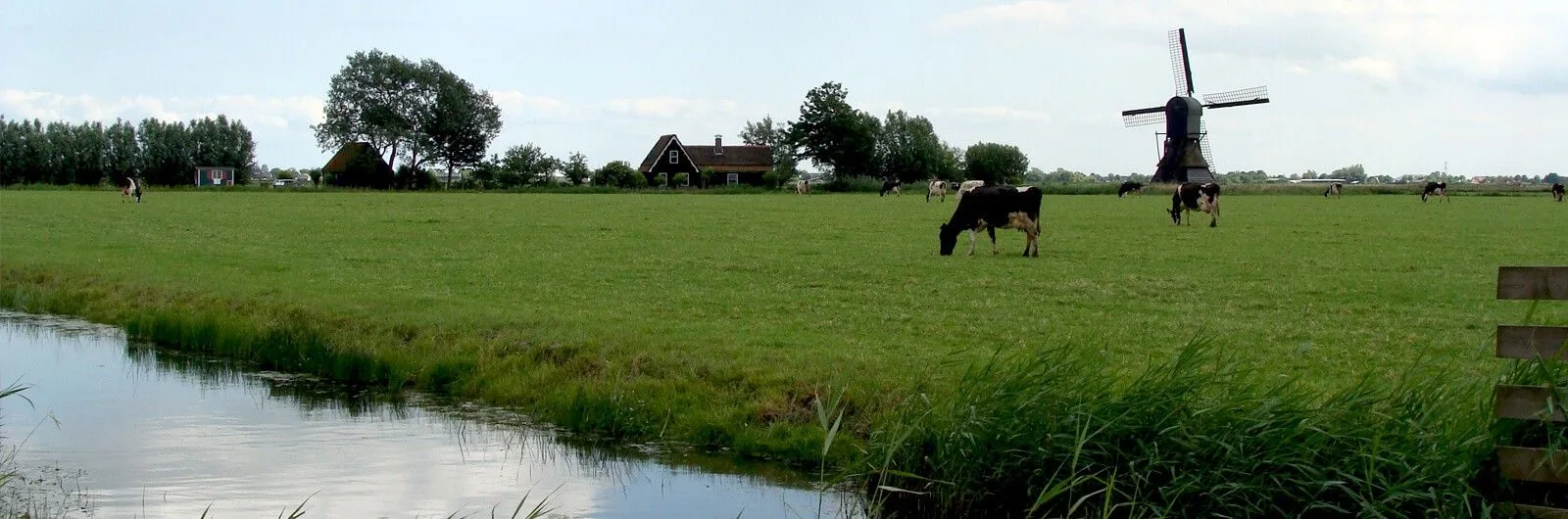 Team foto van Koggen Makelaars