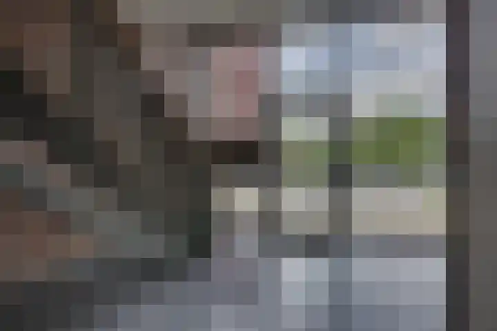 Koggesingel 58 Kampen thumbnail 12
