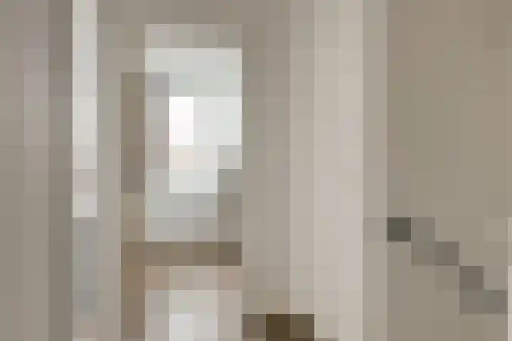 Koggestraat 15 Wervershoof thumbnail 20