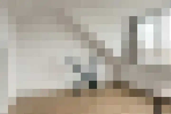 Koggestraat 15 Wervershoof thumbnail 21
