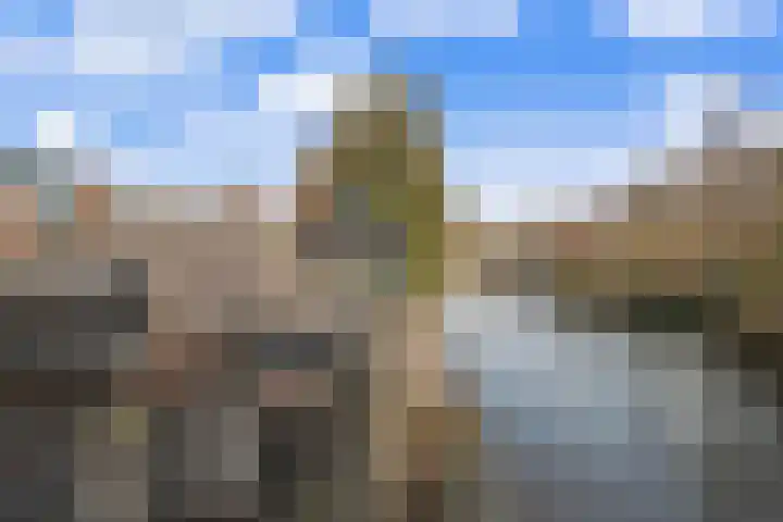 Koggewaard 156 Alkmaar thumbnail 33