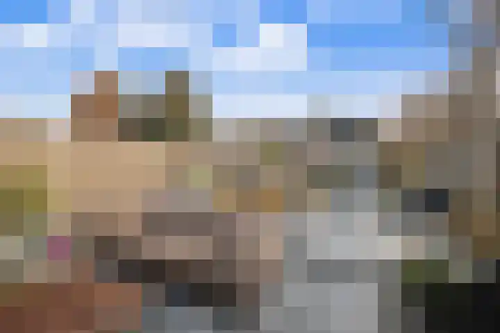 Koggewaard 156 Alkmaar thumbnail 34