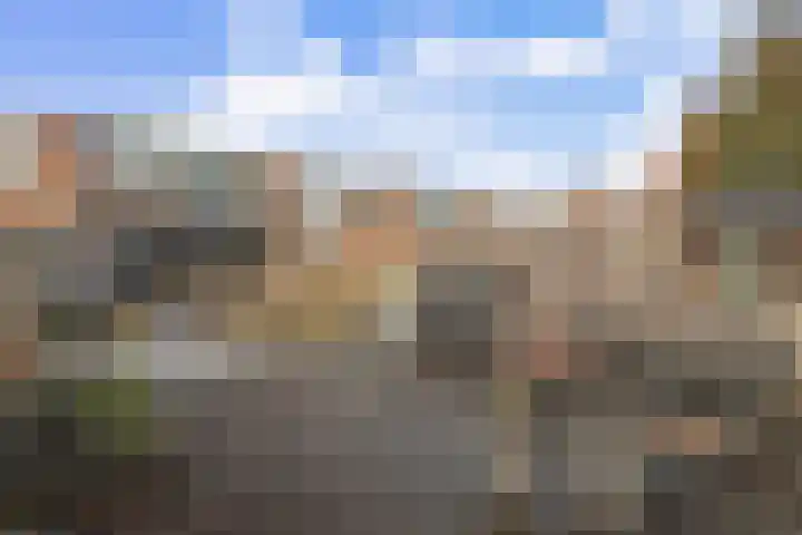Koggewaard 156 Alkmaar thumbnail 35