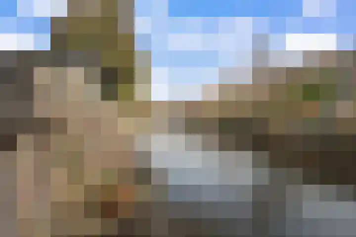 Koggewaard 156 Alkmaar thumbnail 38