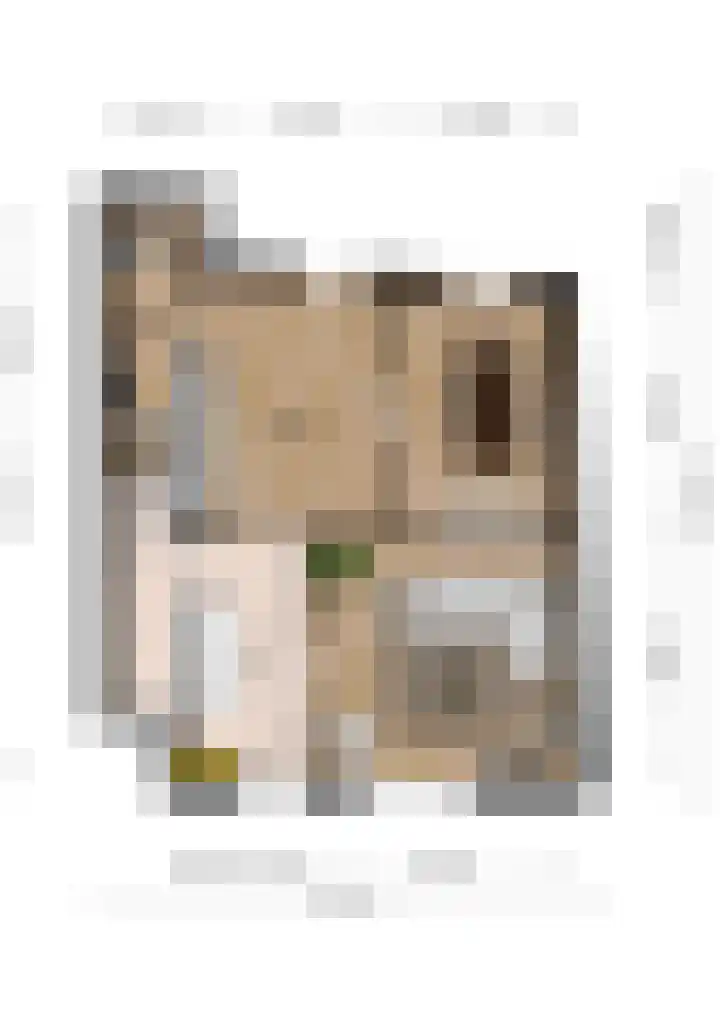 Kokelestraat 32 Kerkrade thumbnail 34