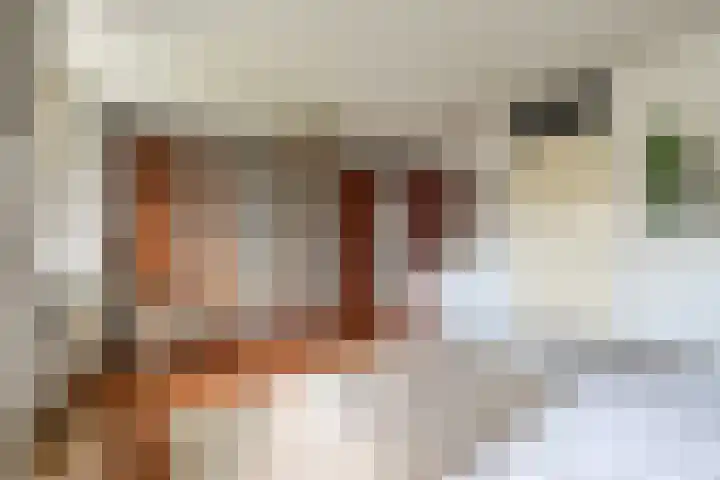 Kokkel 11 Middenmeer thumbnail 25