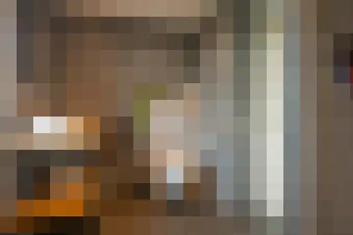Kokkel 11 Middenmeer thumbnail 28