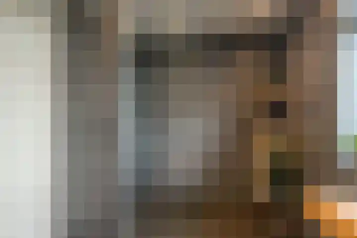 Kokkel 11 Middenmeer thumbnail 30