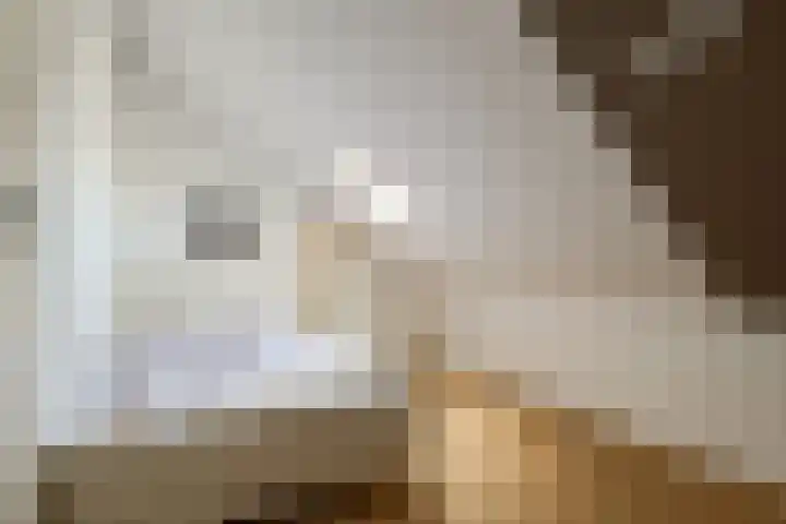 Kokkel 11 Middenmeer thumbnail 34