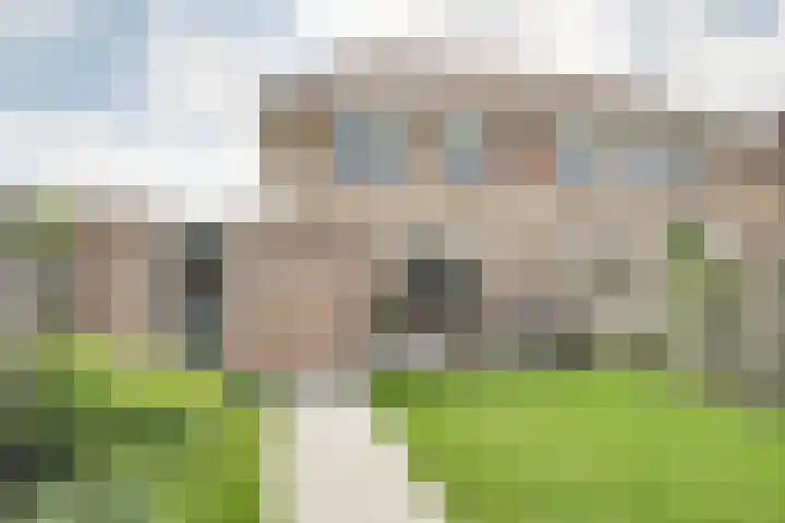 Kokkel 11 Middenmeer thumbnail 36