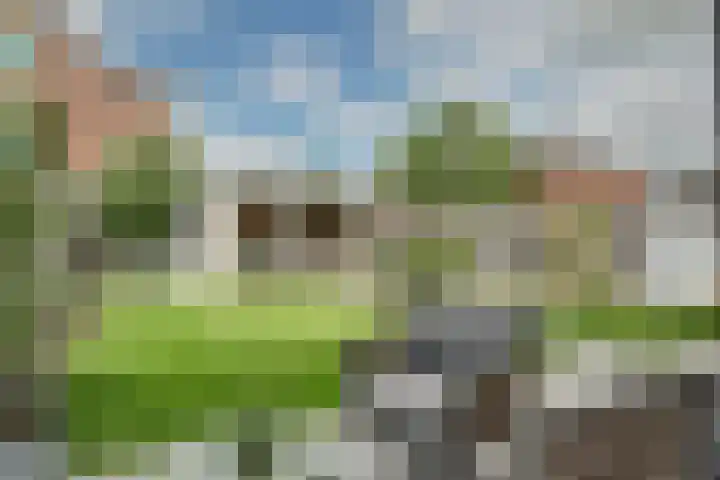Kokkel 11 Middenmeer thumbnail 37