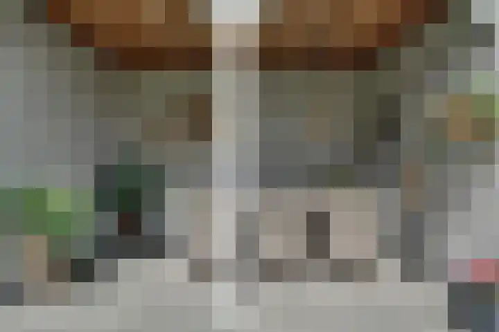 Kokkel 11 Middenmeer thumbnail 38