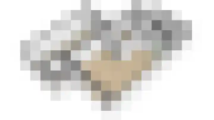 Kokkel 11 Middenmeer thumbnail 43