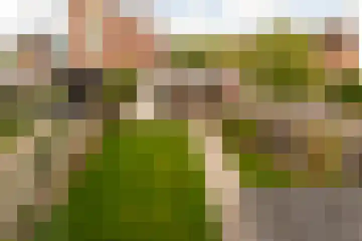 Kokkel 11 Middenmeer thumbnail 5