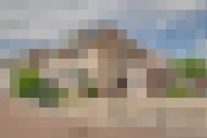 Kokkel 11 Middenmeer thumbnail 54