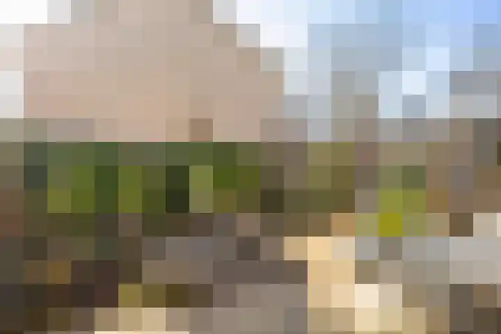 Kokkelmanlanden 42 Enschede thumbnail 19
