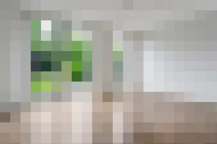Kokkerije 3 de Wijk thumbnail 13