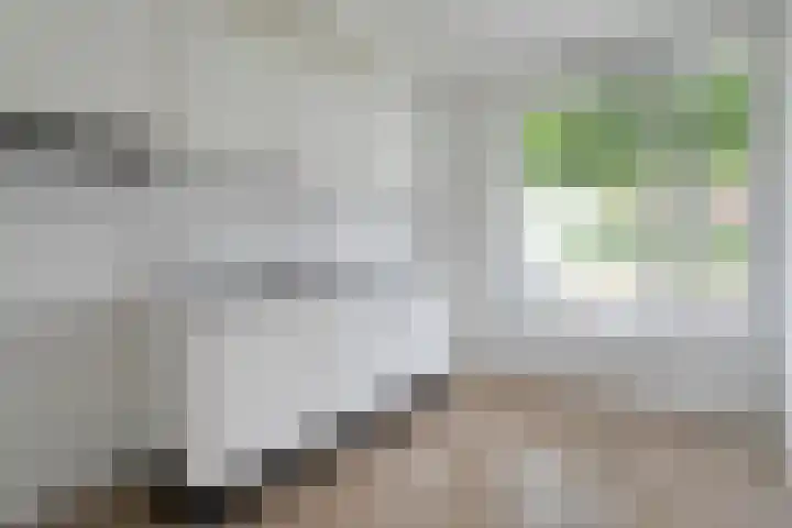 Kokkerije 3 de Wijk thumbnail 16