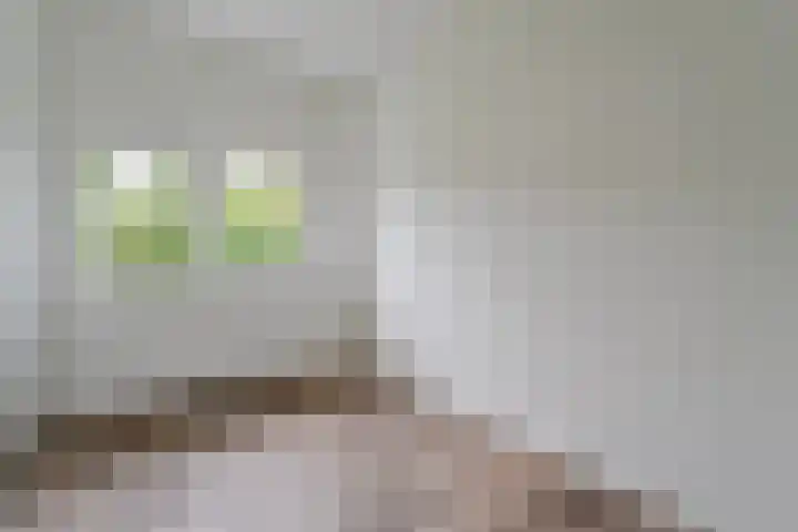 Kokkerije 3 de Wijk thumbnail 21