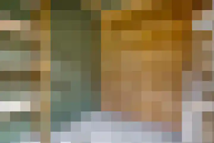 Kokkerije 3 de Wijk thumbnail 27