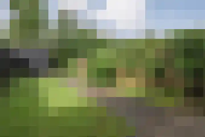 Kokkerije 3 de Wijk foto 3
