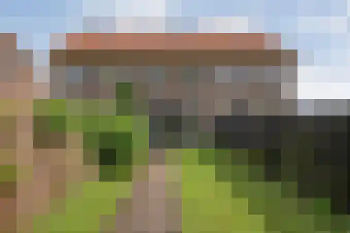 Kokkerije 3 de Wijk thumbnail 31