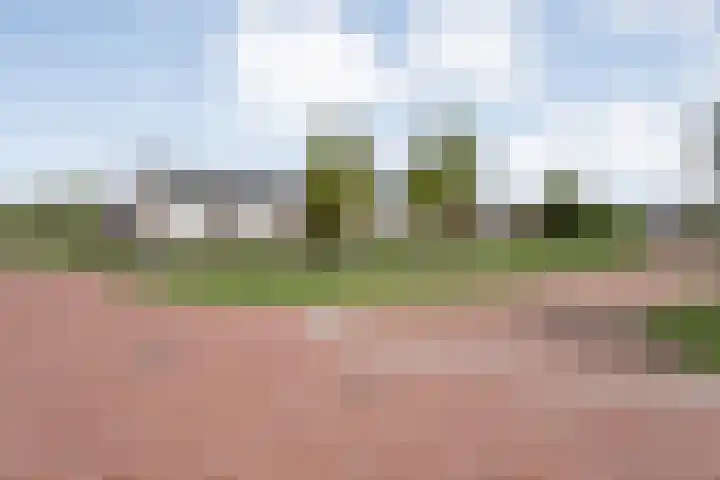 Kokkerije 3 de Wijk thumbnail 32