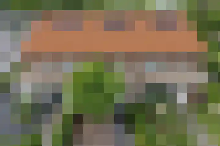 Kokkerije 3 de Wijk thumbnail 6