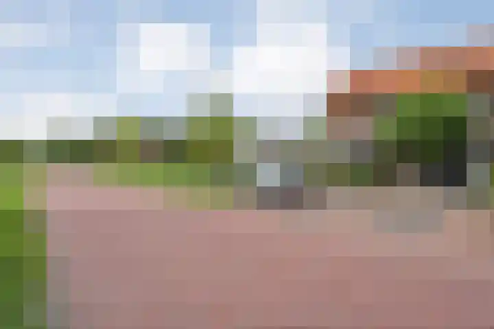Kokkerije 3 de Wijk thumbnail 7