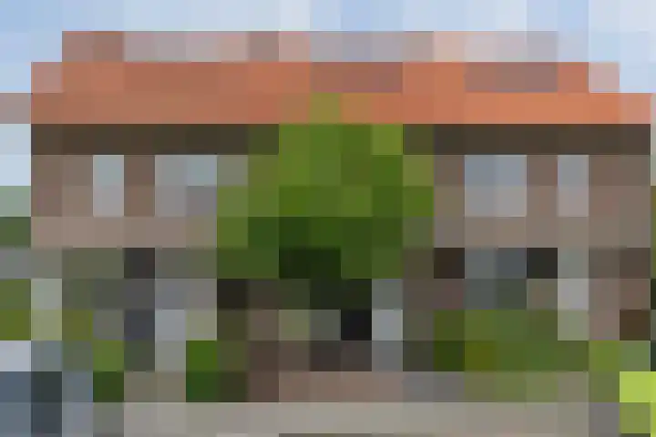 Kokkerije 3 de Wijk thumbnail 9