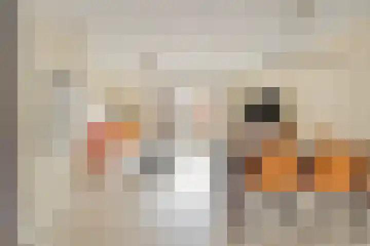 Kokospalmhof 22 Amsterdam thumbnail 12