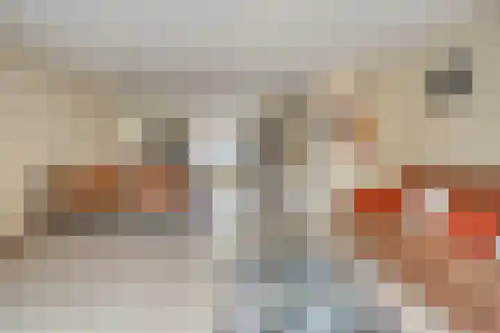 Kokospalmhof 22 Amsterdam thumbnail 14