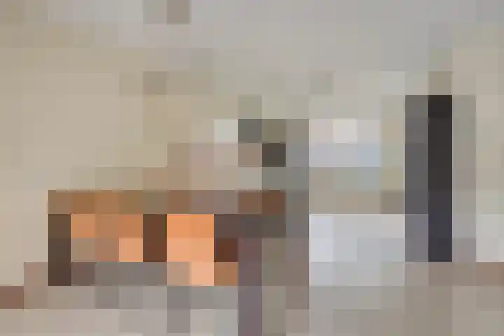 Kokospalmhof 22 Amsterdam thumbnail 15