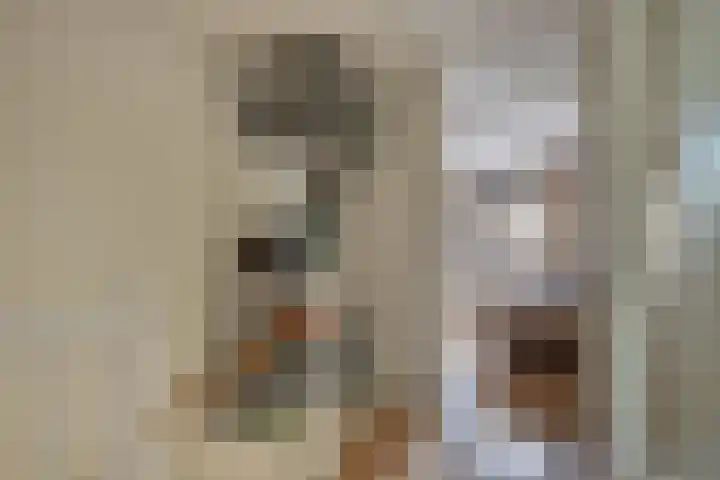 Kokospalmhof 22 Amsterdam thumbnail 19