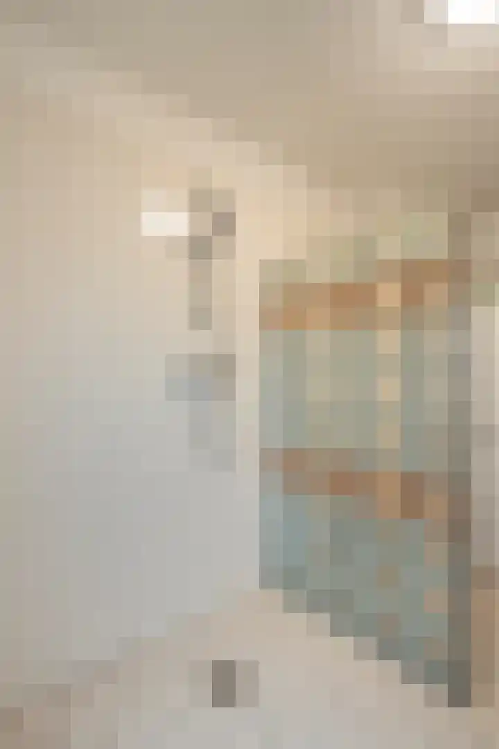 Kokospalmhof 22 Amsterdam thumbnail 25