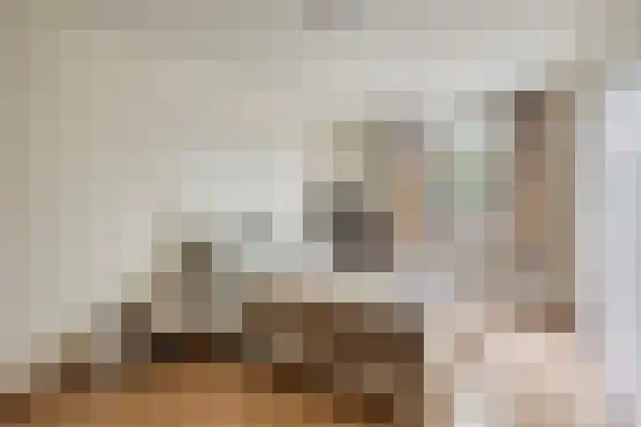 Kokospalmhof 22 Amsterdam thumbnail 26