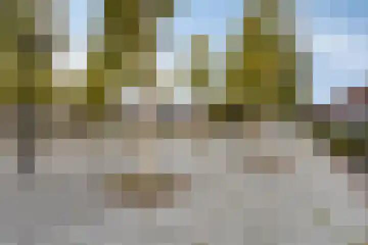 Kokospalmhof 22 Amsterdam thumbnail 32