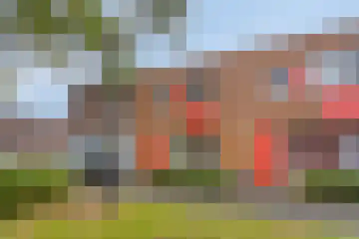 Kokospalmhof 22 Amsterdam thumbnail 7