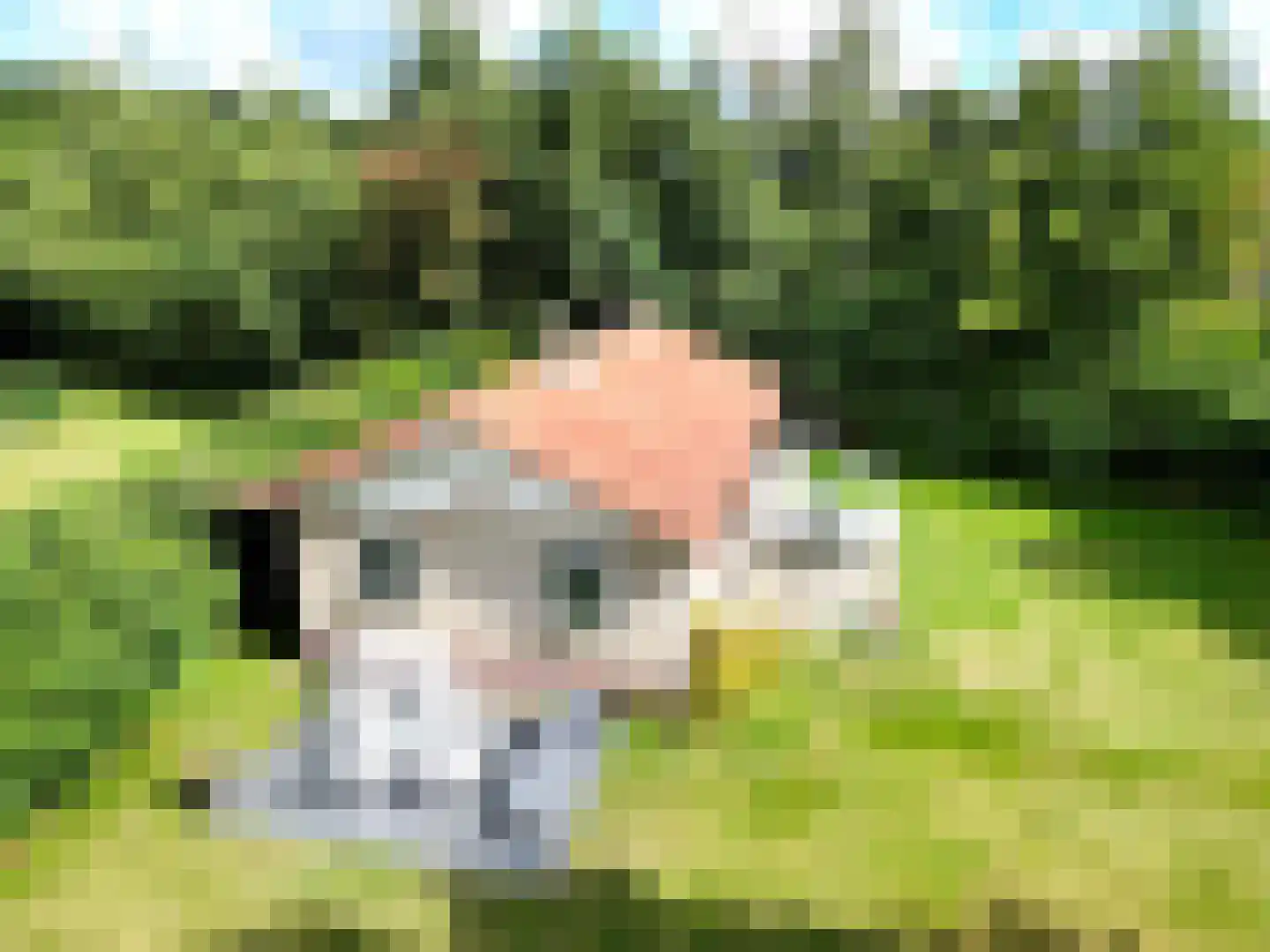 Koksbosweg 11 in Formerum